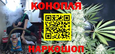 стафф Будённовск