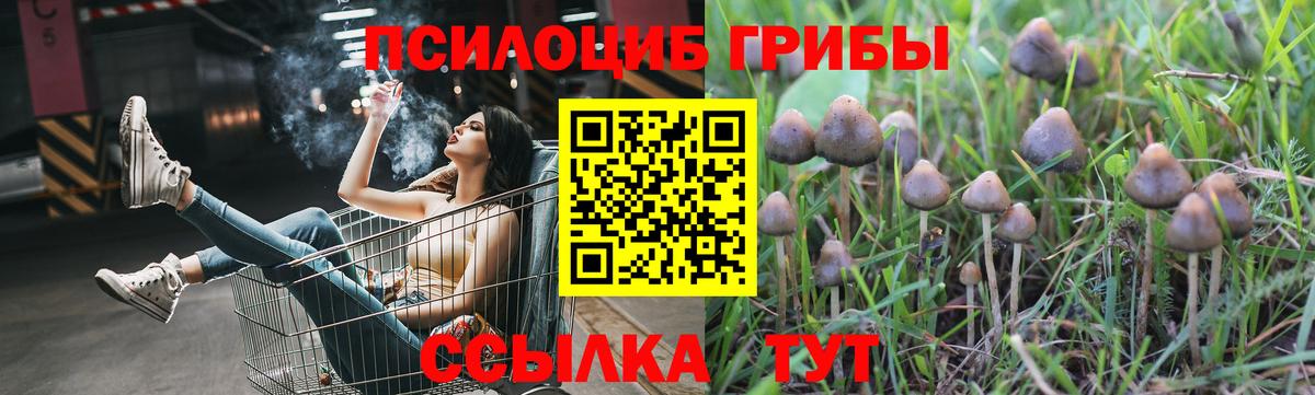 Галлюциногенные грибы прущие грибы  Вход с VPN  Щёкино  Галлюциногенные грибы MAGIC MUSHROOMS 