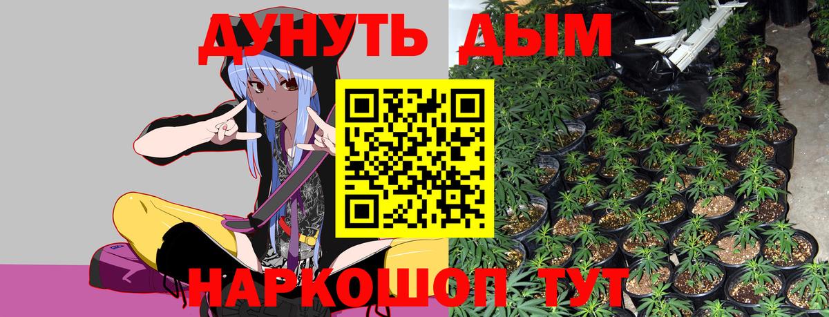 Бошки марихуана марихуана Щёкино